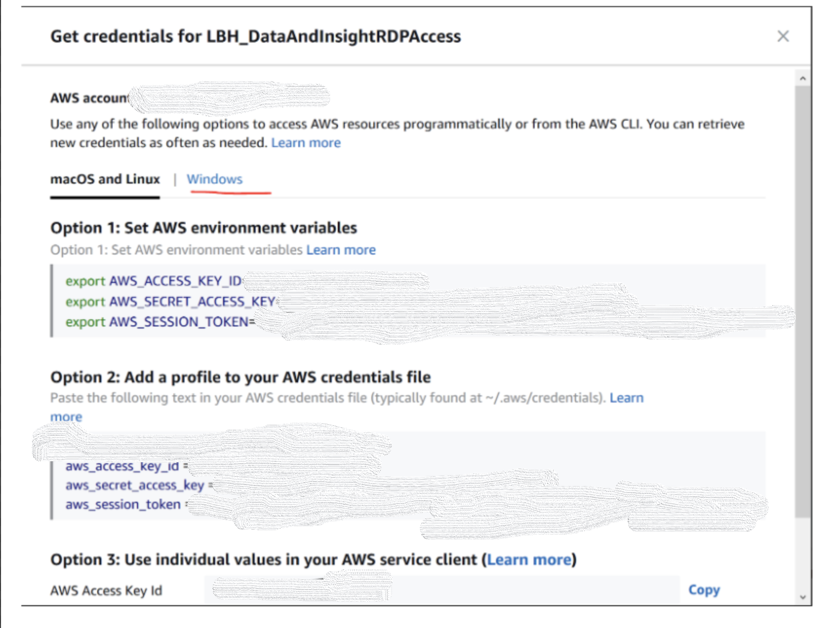 AWS credentials